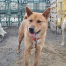 중부-현장-중부-3563 이미지