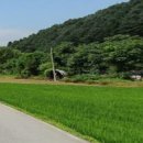 경춘농장 이미지