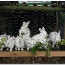 이작초등학교 이미지