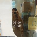 미담약국 이미지