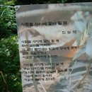 신황진이야 이미지