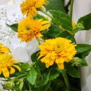 안중장례문화센터 | 안중장례문화센터 비용 위치적 신중함이 필요한 일