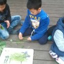 홍제초교(병설)유치원 이미지