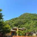 김삿갓면-43 이미지