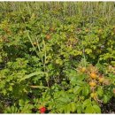 해변에서 펜션 이미지