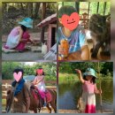 정복농장 | 보홀 사우스 팜 농장에서 물고기 잡고 고양이 카페까지 완벽 정복 (ft. 노스젠 숙박객)