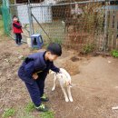 보들농장 이미지