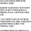 민주당 대변인단 너무 무기력하네요 이미지