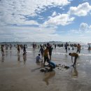 당진난지도국민여가캠핑장 이미지