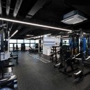 포인티PT 이미지