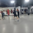 라텔 복싱&킥복싱 이미지