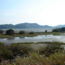 창녕 우포늪 이미지