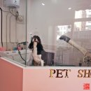 꽃보다 멍 이미지