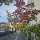 성덕중학교 | 성덕중 중3 수학시험 문제 분석 후기: ‘공식 암기’가 아닌 ‘그래프 해석’이 성패를 결정