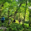 숲 - 군산시 싸전길 21 | 숲