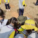 삼운사유치원 이미지