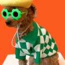 그로서리 메리그린 이미지