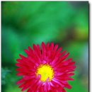 파평산농장 이미지