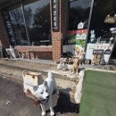 서문시장두부