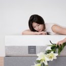 프로젝트 슬립 퍼펙션 매트리스 퀸 사이즈 내돈내산 솔직 후기, 롱텀 리뷰