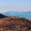 벚나무공원 화장실 이미지