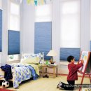 더글라스아이 이미지