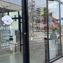 몽실몽실 애견미용 이미지