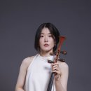 바이올린 이미지