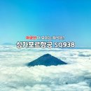 938 | 싱가포르항공 발리 비즈니스 SQ938 기내식 탑승 후기