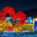 황산공원 족구장 이미지