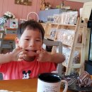 죽림 내죽도공원 이미지