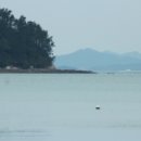 고금고등학교 | 완도 절장암(折薔巖) 초정