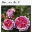 모던아트(Modern Art)