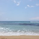 햇빛 찬란한 그 길 이미지