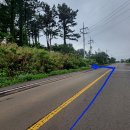 제주 모슬봉 일제군사시설 이미지