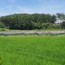 해풍태양광발전소 이미지