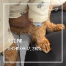 김현태김동민 동물의료센터 이미지