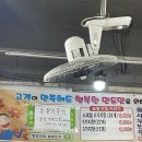 밀양솔밭만두