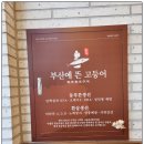 부산에뜬고등어 이미지