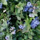 남원미래농장 이미지