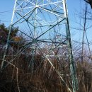 배치농장 이미지