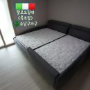 패밀리 아쿠아 이미지