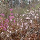 강천산군립공원(강천사) 이미지