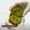 당당베이커리