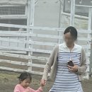 둥이목장 이미지