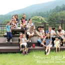 용문산야생화마을 네이버블로그