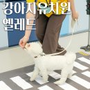 거창유치원 | 강아지유치원비용 현실적으로 따져본 옐레드 창업 상담 후기