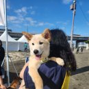 10.19 반포한강시민공원에서 이미지