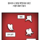 서울샤플란트치과의원 이미지