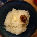 제주마꼬또 이미지